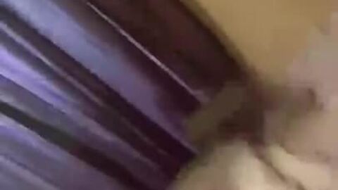 BBC, HD видео, американское, большая задница, брюнетка, толстушки, черный