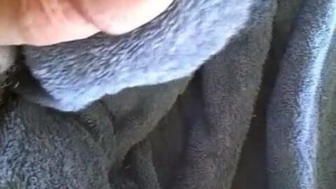 HD видео, кончает на фото (гей), маленький член (гей), мастурбация (гей), мастурбирует (гей), медведь (гей)