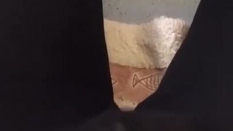 HD видео, любитель (гей), маленький член (гей), мастурбация (гей), трансвестит (гей)